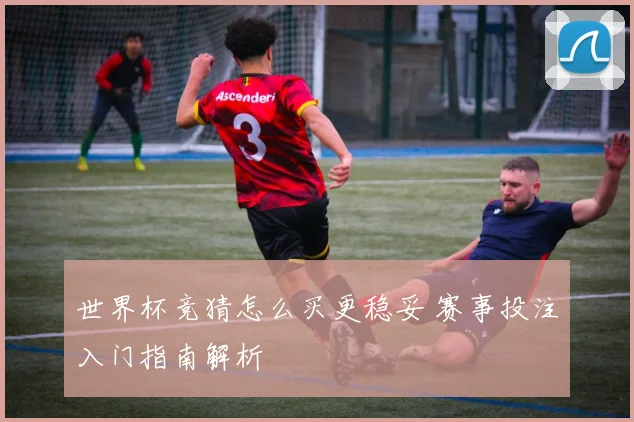 世界杯竞猜怎么买更稳妥 赛事投注入门指南解析