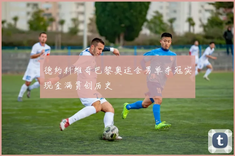 德约科维奇巴黎奥运会男单夺冠实现金满贯创历史