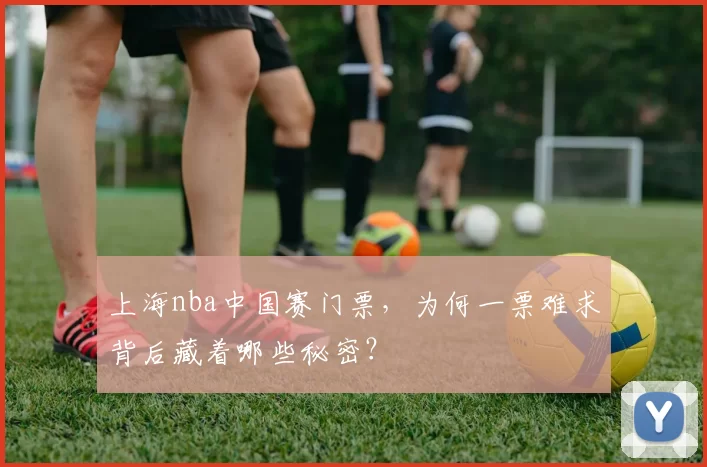 上海nba中国赛门票,为何一票难求背后藏着哪些秘密?
