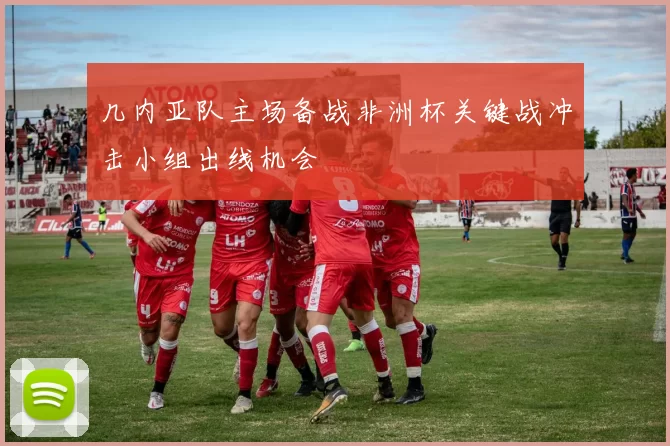 几内亚队主场备战非洲杯关键战冲击小组出线机会