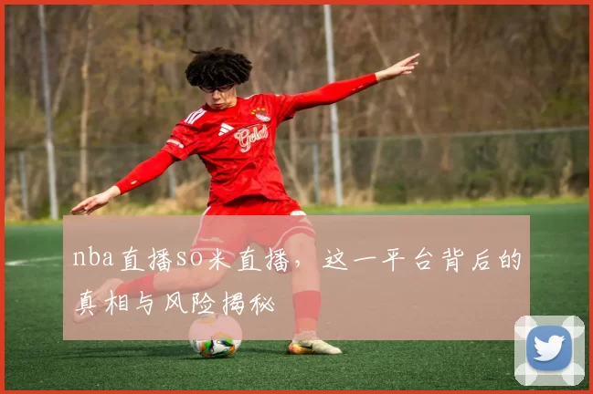 nba直播so米直播，这一平台背后的真相与风险揭秘