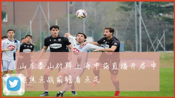 山东泰山对阵上海申花直播开启 中超焦点战前瞻看点足
