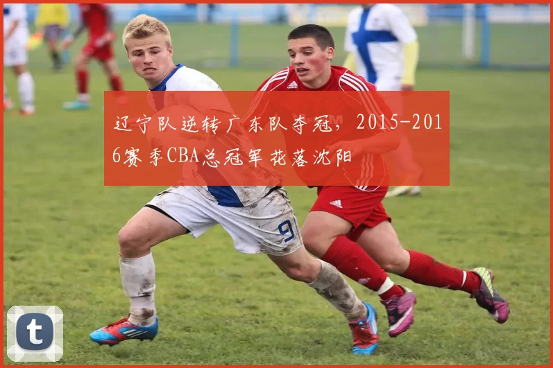 辽宁队逆转广东队夺冠，2015-2016赛季CBA总冠军花落沈阳